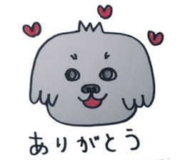 Shih tzu rarako sticker #2201190