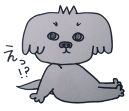 Shih tzu rarako sticker #2201193