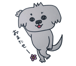 Shih tzu rarako sticker #2201197