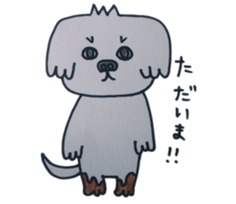 Shih tzu rarako sticker #2201203