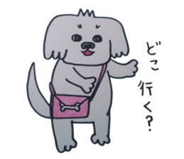 Shih tzu rarako sticker #2201205