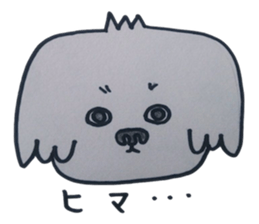 Shih tzu rarako sticker #2201208