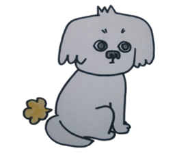 Shih tzu rarako sticker #2201209