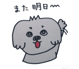 Shih tzu rarako sticker #2201210