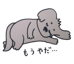 Shih tzu rarako sticker #2201211