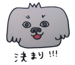 Shih tzu rarako sticker #2201213