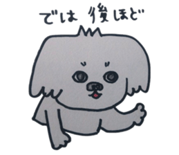 Shih tzu rarako sticker #2201214
