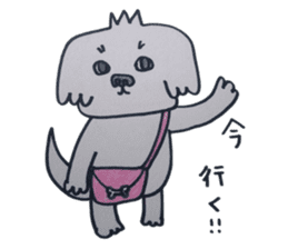 Shih tzu rarako sticker #2201216