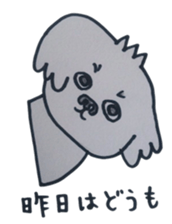 Shih tzu rarako sticker #2201217