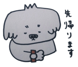 Shih tzu rarako sticker #2201218