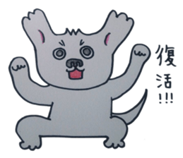 Shih tzu rarako sticker #2201220