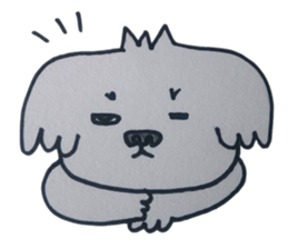 Shih tzu rarako sticker #2201221