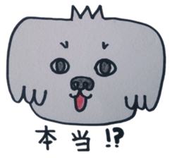 Shih tzu rarako sticker #2201222