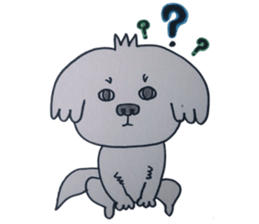 Shih tzu rarako sticker #2201223