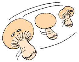 MORE MUSHROOMS sticker #2201364