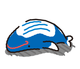 whale sticker sp-01 sticker #2201481