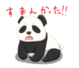 daru panda sticker #2202081