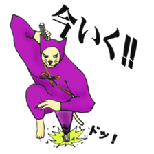 nyannjya(Ninja cat) sticker #2202957