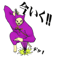 nyannjya(Ninja cat) sticker #2202957