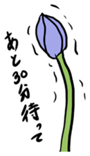 Syobosuta sticker #2203664