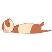cute ferret sticker #2204990