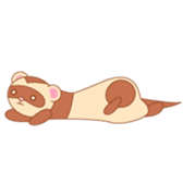 cute ferret sticker #2204992