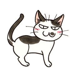 "Daily cat 2" With Cat 02