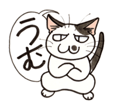 "Daily cat 2" With Cat 02 sticker #2207744