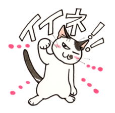 "Daily cat 2" With Cat 02 sticker #2207745