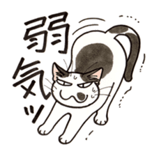 "Daily cat 2" With Cat 02 sticker #2207749