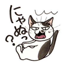 "Daily cat 2" With Cat 02 sticker #2207752