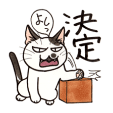 "Daily cat 2" With Cat 02 sticker #2207754