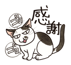 "Daily cat 2" With Cat 02 sticker #2207755