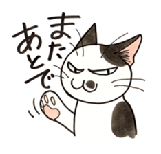 "Daily cat 2" With Cat 02 sticker #2207756