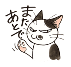 "Daily cat 2" With Cat 02 sticker #2207756