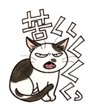 "Daily cat 2" With Cat 02 sticker #2207760