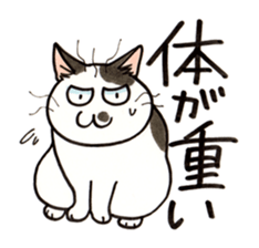 "Daily cat 2" With Cat 02 sticker #2207767