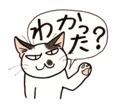 "Daily cat 2" With Cat 02 sticker #2207768