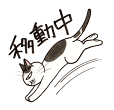 "Daily cat 2" With Cat 02 sticker #2207769