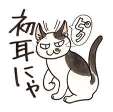 "Daily cat 2" With Cat 02 sticker #2207773