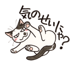 "Daily cat 2" With Cat 02 sticker #2207774