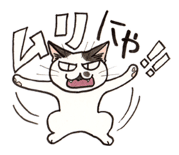 "Daily cat 2" With Cat 02 sticker #2207777