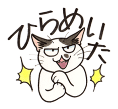 "Daily cat 2" With Cat 02 sticker #2207779