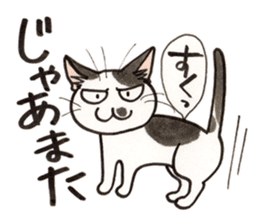 "Daily cat 2" With Cat 02 sticker #2207781