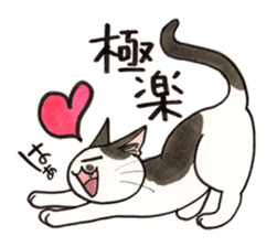 "Daily cat 2" With Cat 02 sticker #2207782