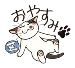 "Daily cat 2" With Cat 02 sticker #2207783