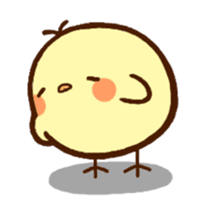 Piyoko(English) sticker #2208131