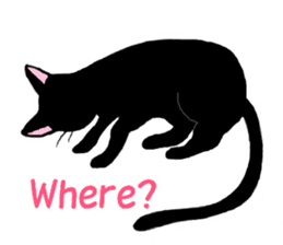 The stickers of black cats(ENG.) sticker #2210774