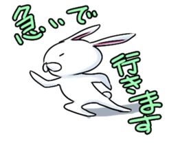 Rabbit Rabbit Rabbit Rabbit sticker #2212853