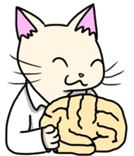 Lab-coat cat sticker #2214459